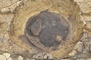大菅波コショウズワリ遺跡