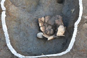 庄・西島遺跡、津波倉廃寺