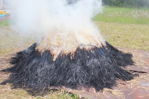 弥生式野焼き3