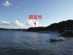 海側から見た遺跡