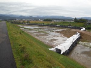 調査前の風景