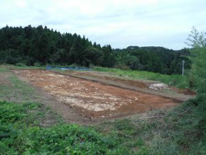 調査地の全体の様子