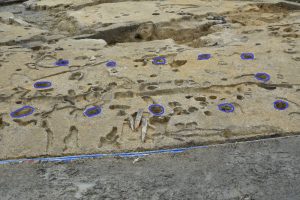 地面に穴を掘って柱を建てた建物