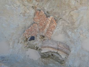 出土した弥生土器