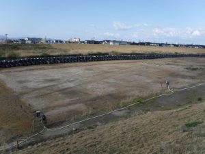 北東から見た発掘調査前の状況