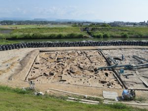 春の発掘後の様子
