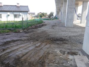 発掘調査着手前のようす