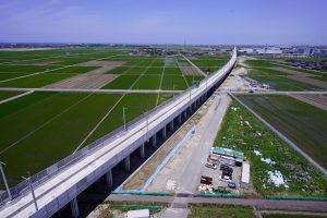 空から見た調査区