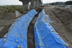 調査した東部の掘削終了写真です