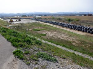 P区作業エリア遠景