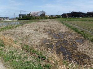 調査前の風景（南西から）