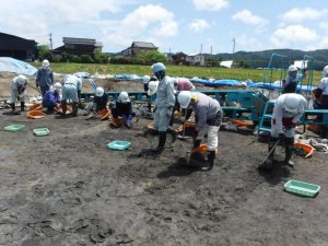 遺構を探している様子（西から）
