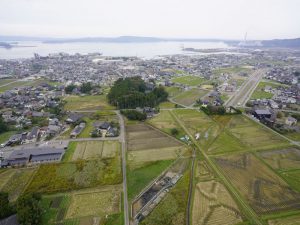 今回の調査区とその周辺の風景です