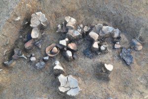 調査区2の土坑から、弥生時代の土器がみつかりました。