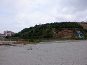 遺跡のある丘陵地を望む