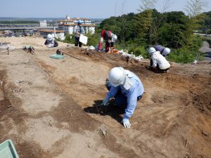 発掘作業の様子