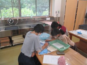 R4古代体験講座「藍の生葉染め」