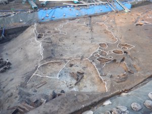 C区上層でみつかった古代の水田跡