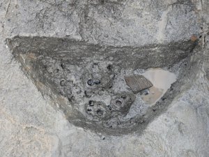 C区の川底でみつかった弥生時代のクリ貯蔵穴の様子