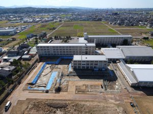 空から見た調査区