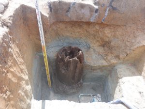大型建造物の柱根