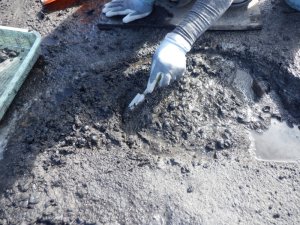 川底で見つかった弥生時代のクリ貯蔵穴