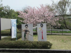 2025sakura